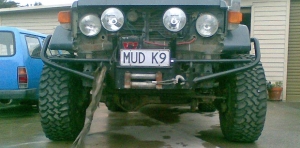 mudk9 (2)